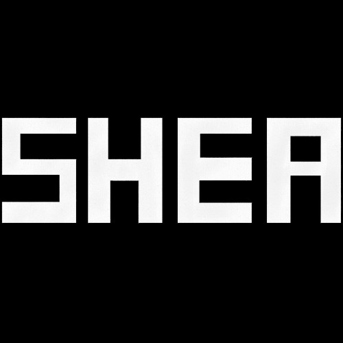 Live @ Shea Stadium