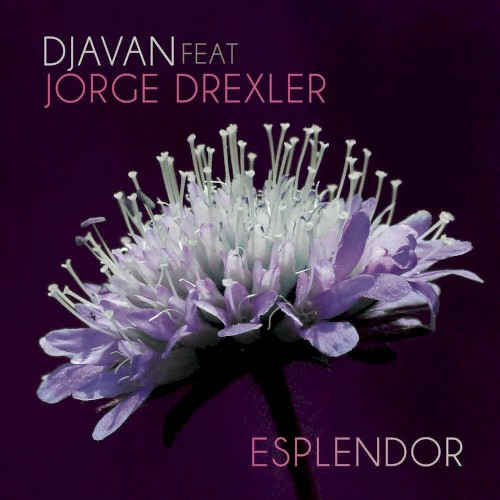 Esplendor