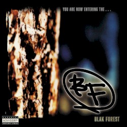 You Are Now Entering... The Blak Forest