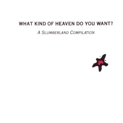 What Kind of Heaven Do You Want?