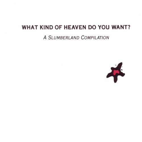 What Kind of Heaven Do You Want?
