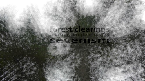 forest clearings: a drone jungle mixmas