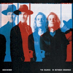 The Silence in Between (Remixed)