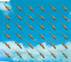 Flying