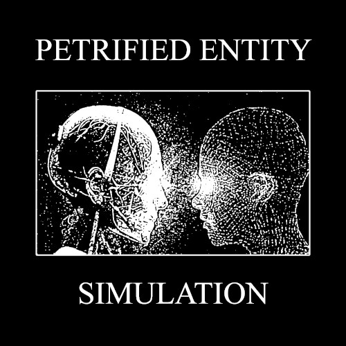 Simulation