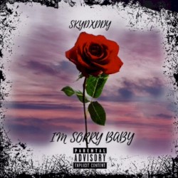I'm Sorry Baby