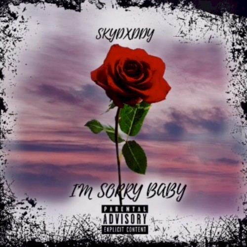 I'm Sorry Baby