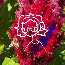 Music for a Little Bee
