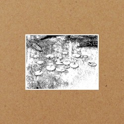 Texas Noise & Ambient #4 Home Audio Companion