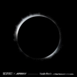 Hush-Hush -☆Taku Takahashi remix-