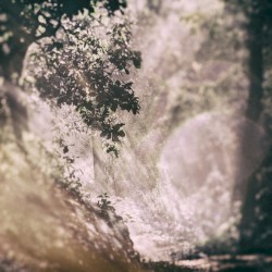 Paths
