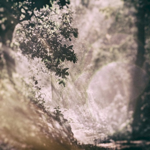 Paths