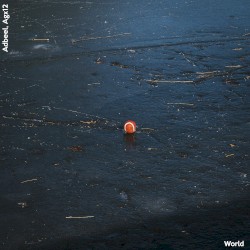 World