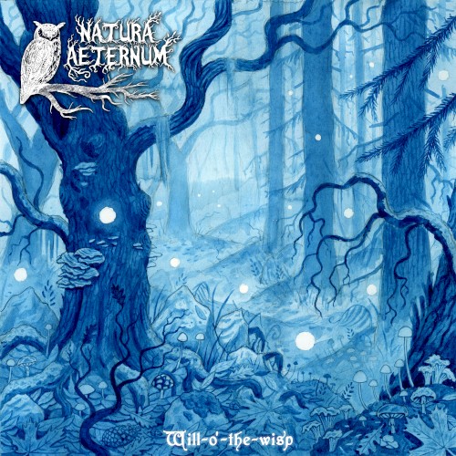 Will‐o’-the‐wisp