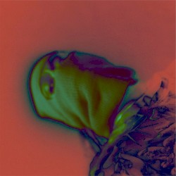 AMBER