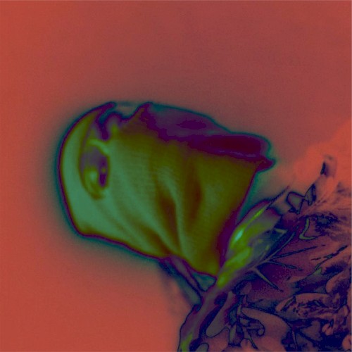 AMBER