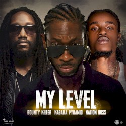 My Level