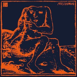 Prosthuman
