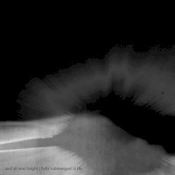 fully submerged iii.life