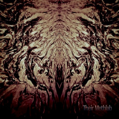 Their Methlab