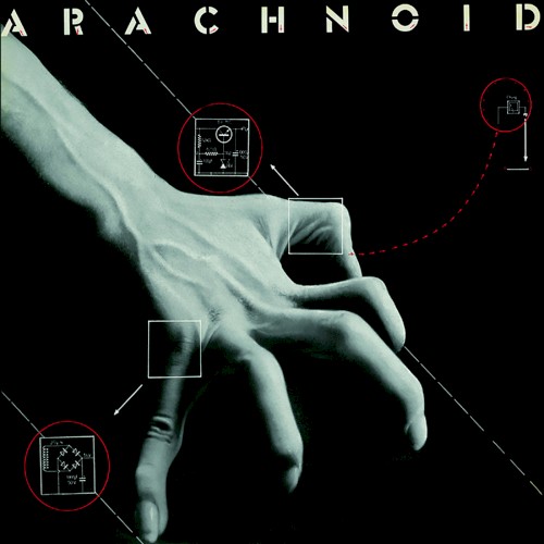 Arachnoid