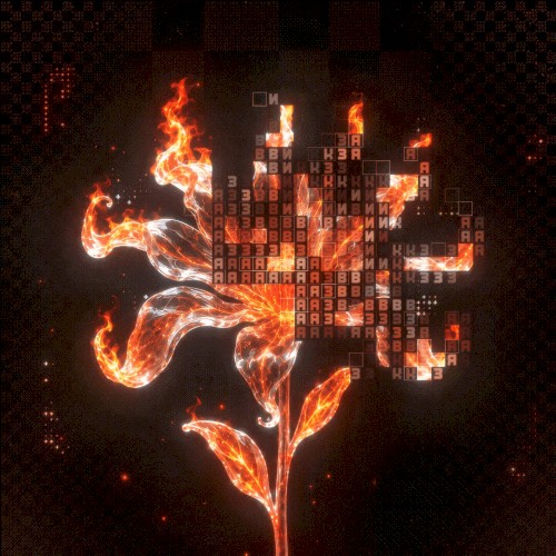 Я звик