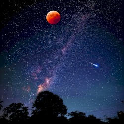 Lunar Eclipse