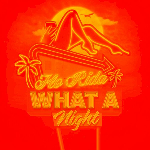 What a Night (Remixes)