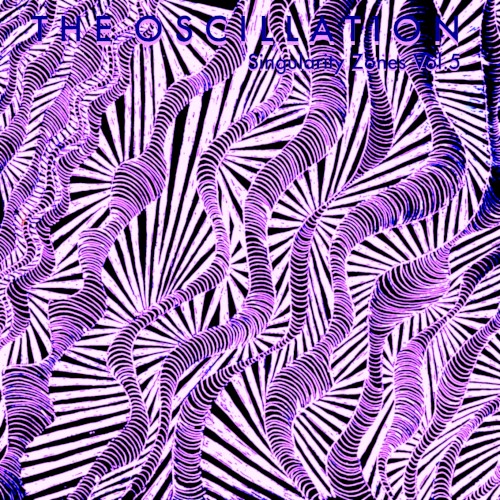 Singularity Zones Vol.5