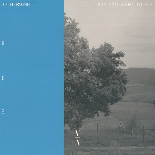 Say You Want to Fly