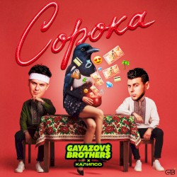 Сорока