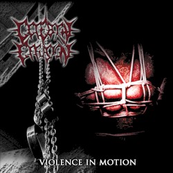 Violence in Motion