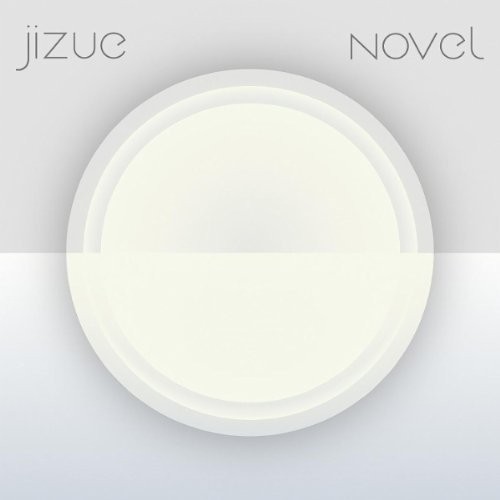 novel
