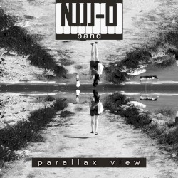 Parallax View