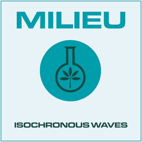 Isochronous Waves