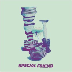 Special Friend