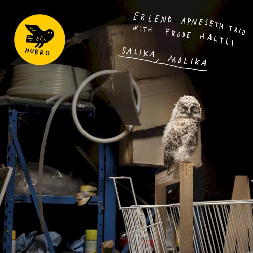 Salika, Molika