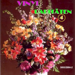 Vinyl Raritäten 04