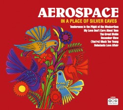 In a Place of Silver Eaves
