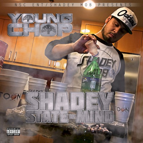 Shadey State Of Mind