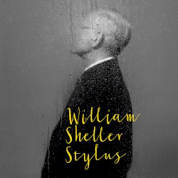 Stylus