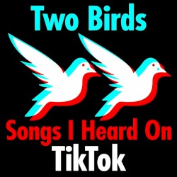 Two Birds - Songs I Heard on TikTok