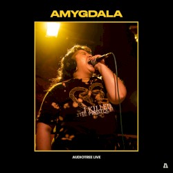 Audiotree Live