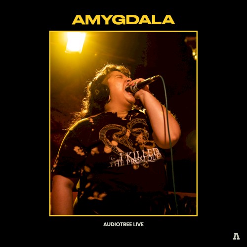 Audiotree Live
