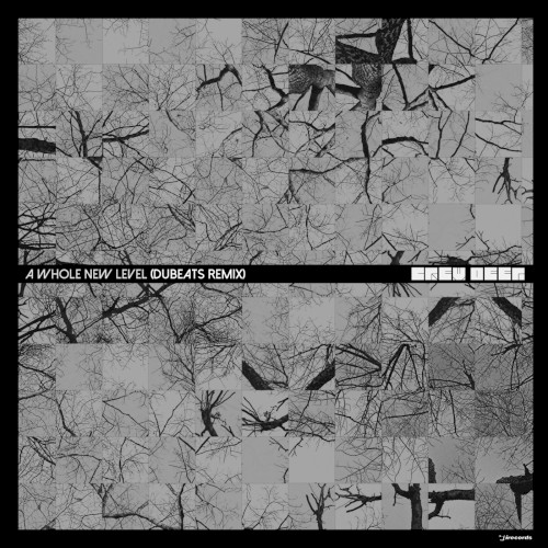 A Whole New Level (Remix)