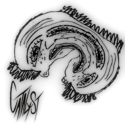 CATALYST (self titled)