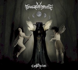 Carpe Noctem