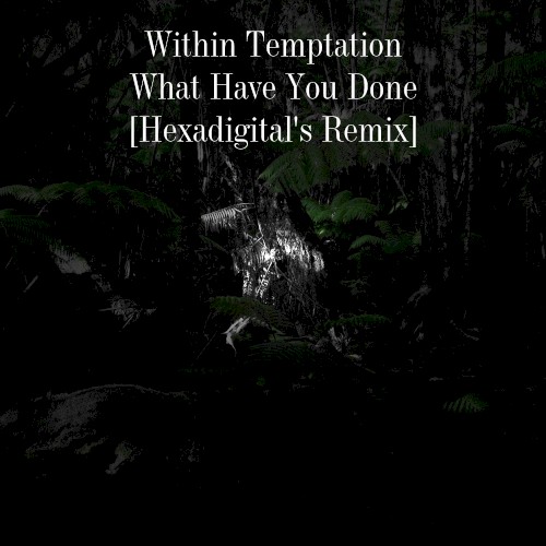 What Have You Done [Hexadigital's Remix]