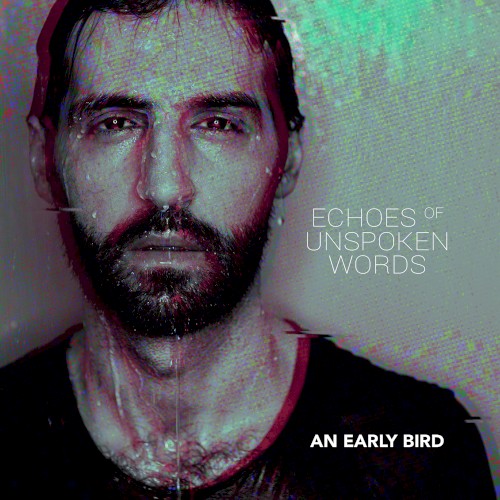 Echoes of Unspoken Words