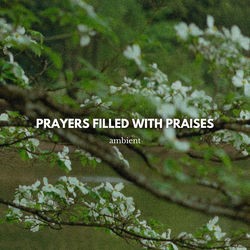 Prayers Filled With Praises (ambient)